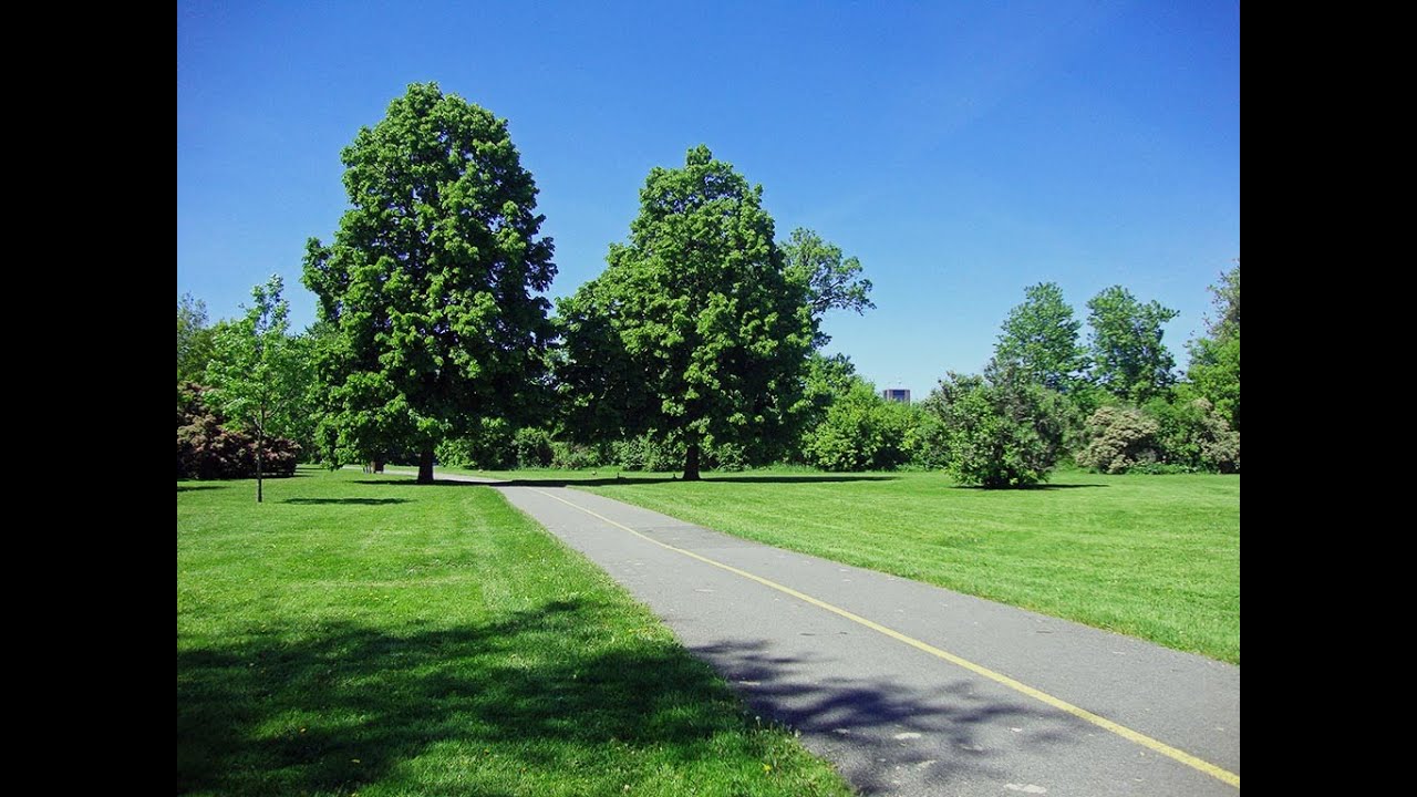 15 minute scenic POV ride of the Rideau canal for spin or stationary bikes.