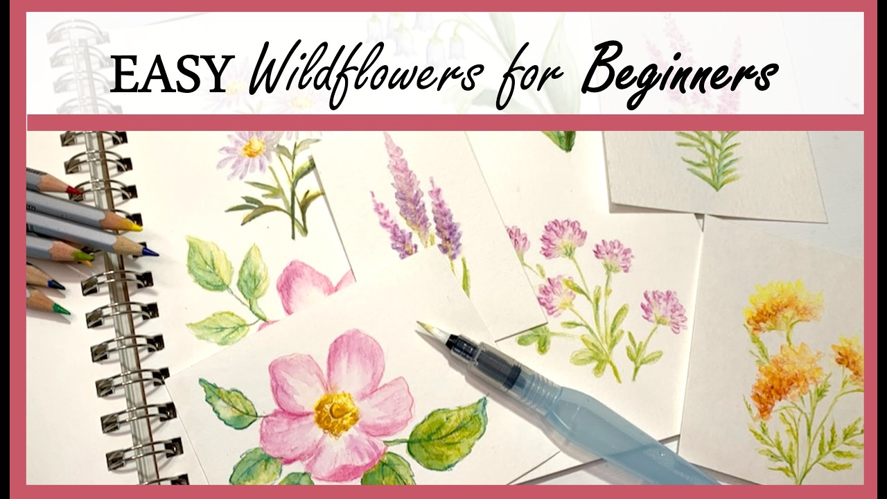 EASY Wildflowers ANYONE Can Sketch! Step-by-Step Guide to Sketching & Painting in Watercolor Pencil