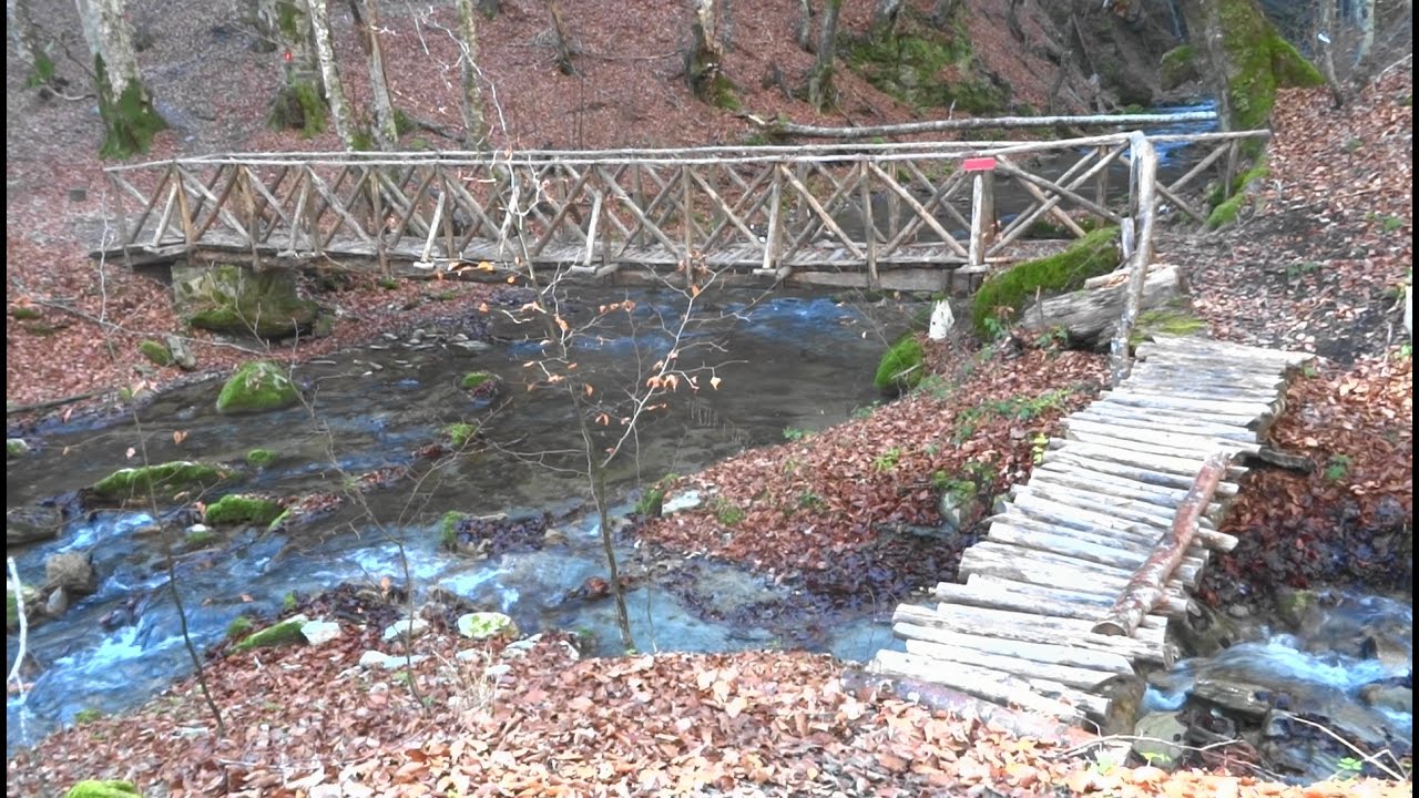 ΠΑΪΚΟ, ΦΑΡΑΓΓΙ ΣΤΡΑΒΟΠΟΤΑΜΟΥ (ΠΡΑΜΑΤΑΡΙ - ΛΥΟΜΕΝΟ ΣΤΡΑΒΟΠΟΤΑΜΟΥ)