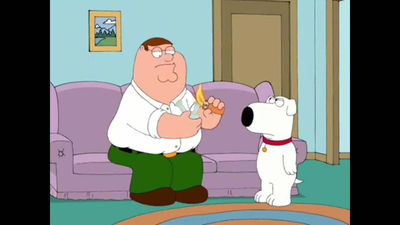 the real family guy pilot (ytp)