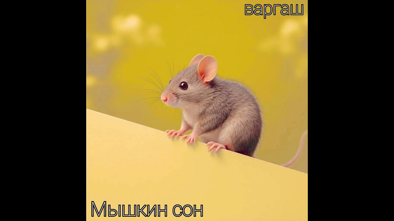 варгаш  - Мышкин сон