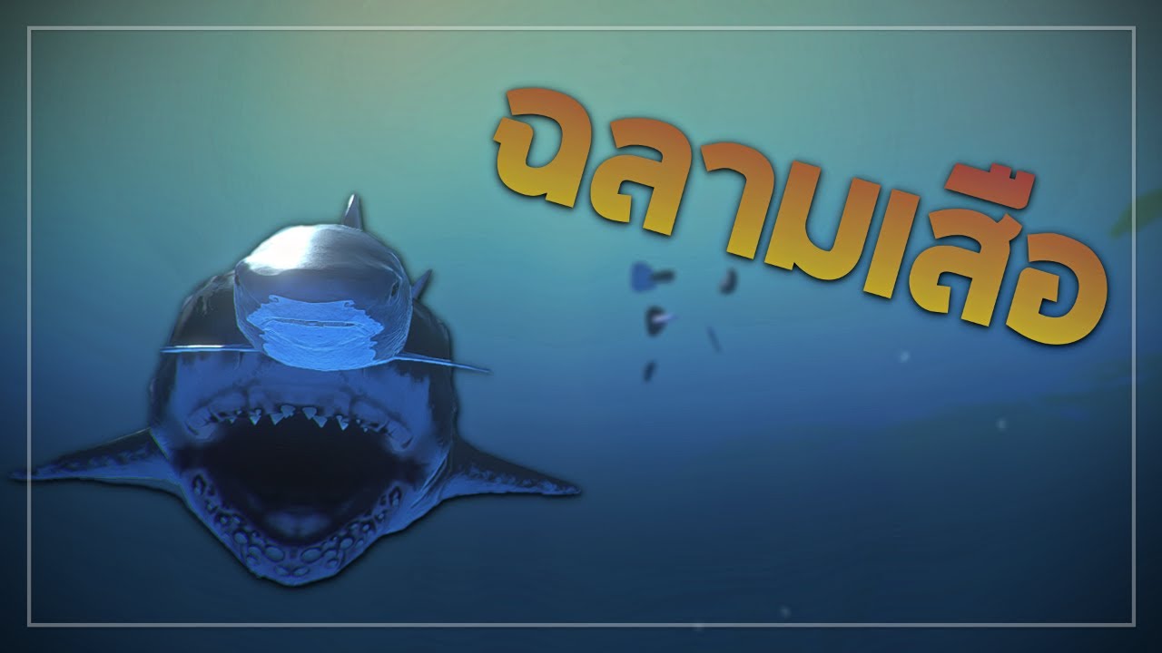 ฉลามเสือ (Tiger shark) - Feed and grow : fish  [อย่ากินช้านนนน ]