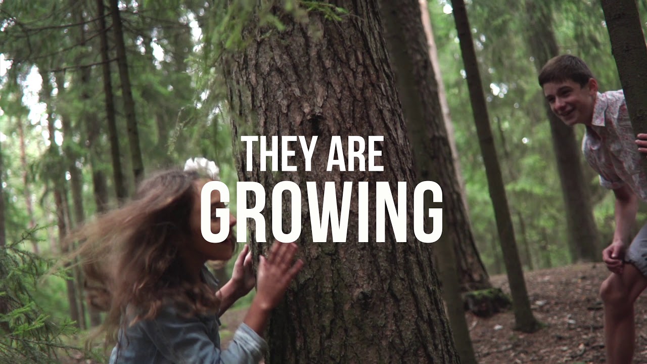 Sustainability of Hardwoods