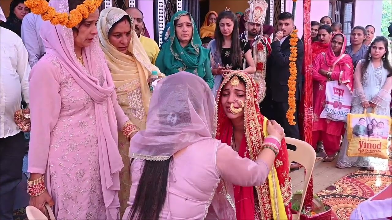विदाई!! भावुक कर देने बाली पिता का रो रो के बुरा हाल !! हिमाचल evergreen moments