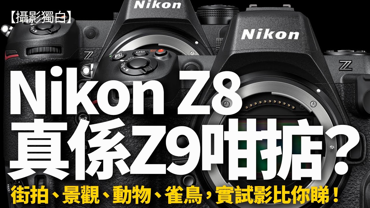 【字幕】Nikon Z8真係有NikonZ9咁掂？真唔真？街拍、景觀、動物、雀鳥，實試影比你睇！