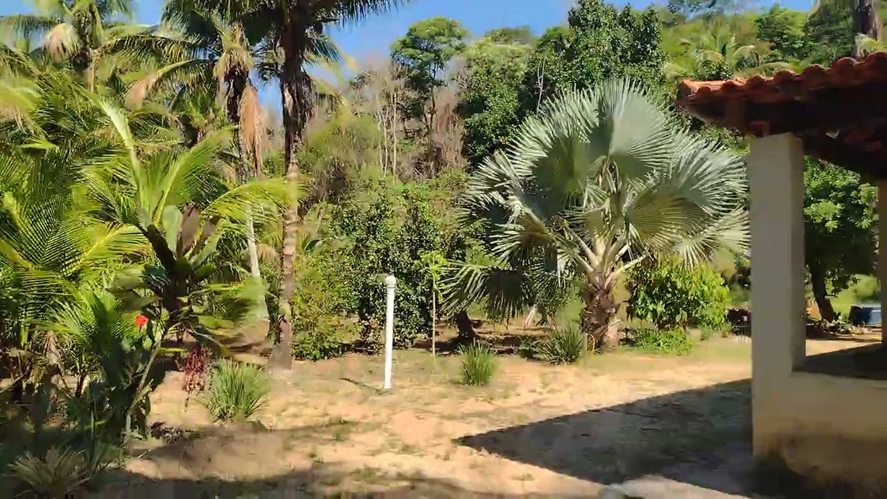 022997442291 VENDO SITIO EM SAQUAREMA RJ 10 MIL METROS QUADRADOS DEUS É DEUS CRECI 93741.