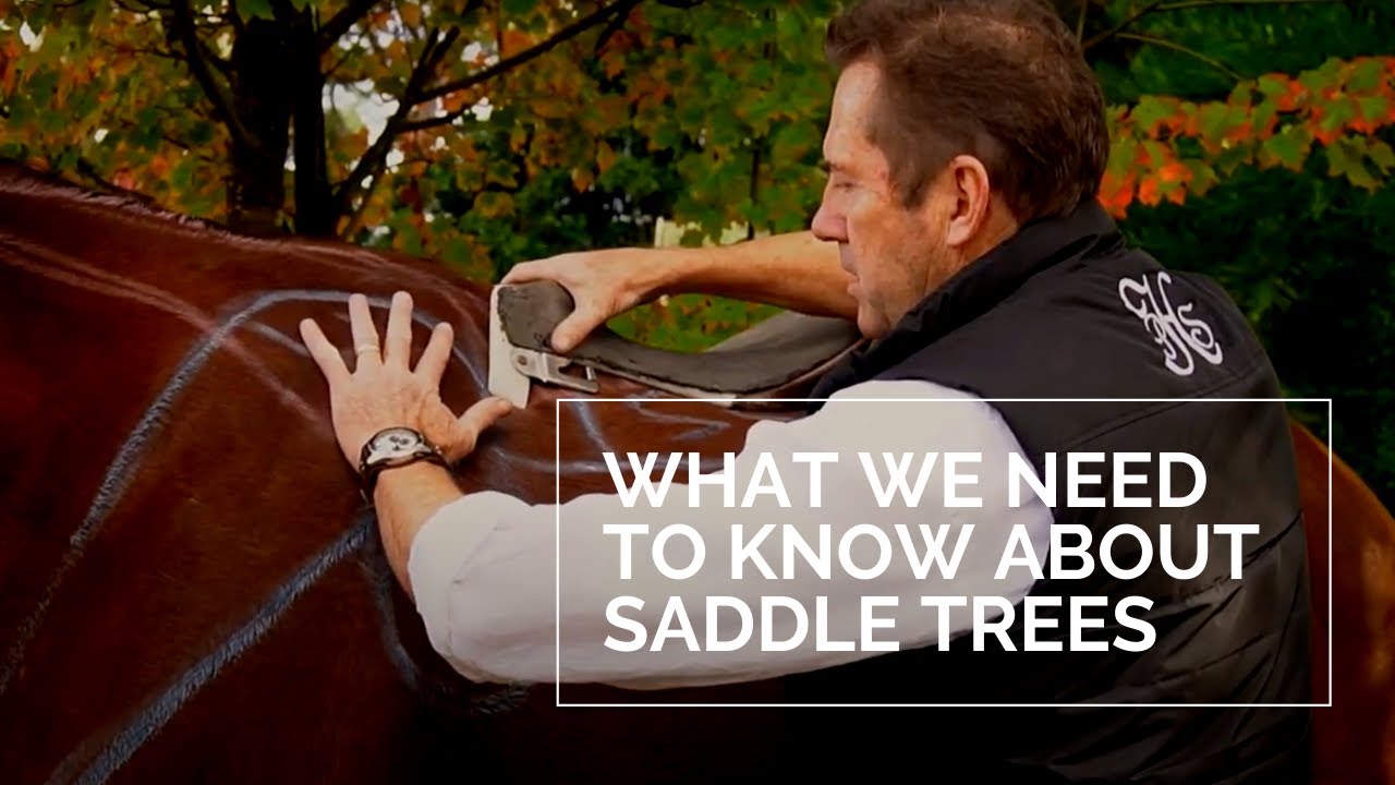Peter Horobin Saddlery - What Do We Need To Know About Saddle Trees