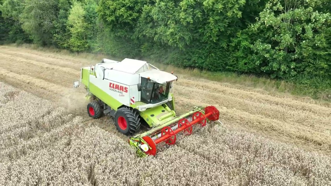 Moisson de blé