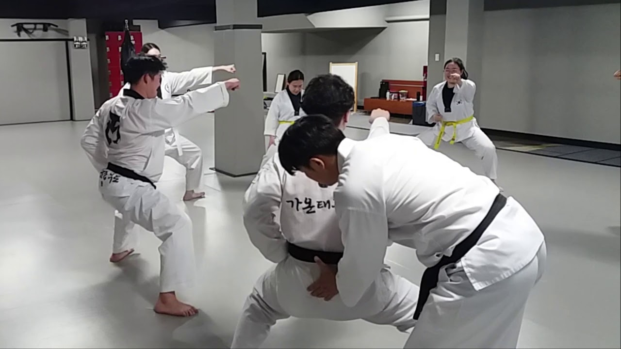 방배동 성인태권도 기본동작 품새 수련(성인전문 태권도장다물원20191017)