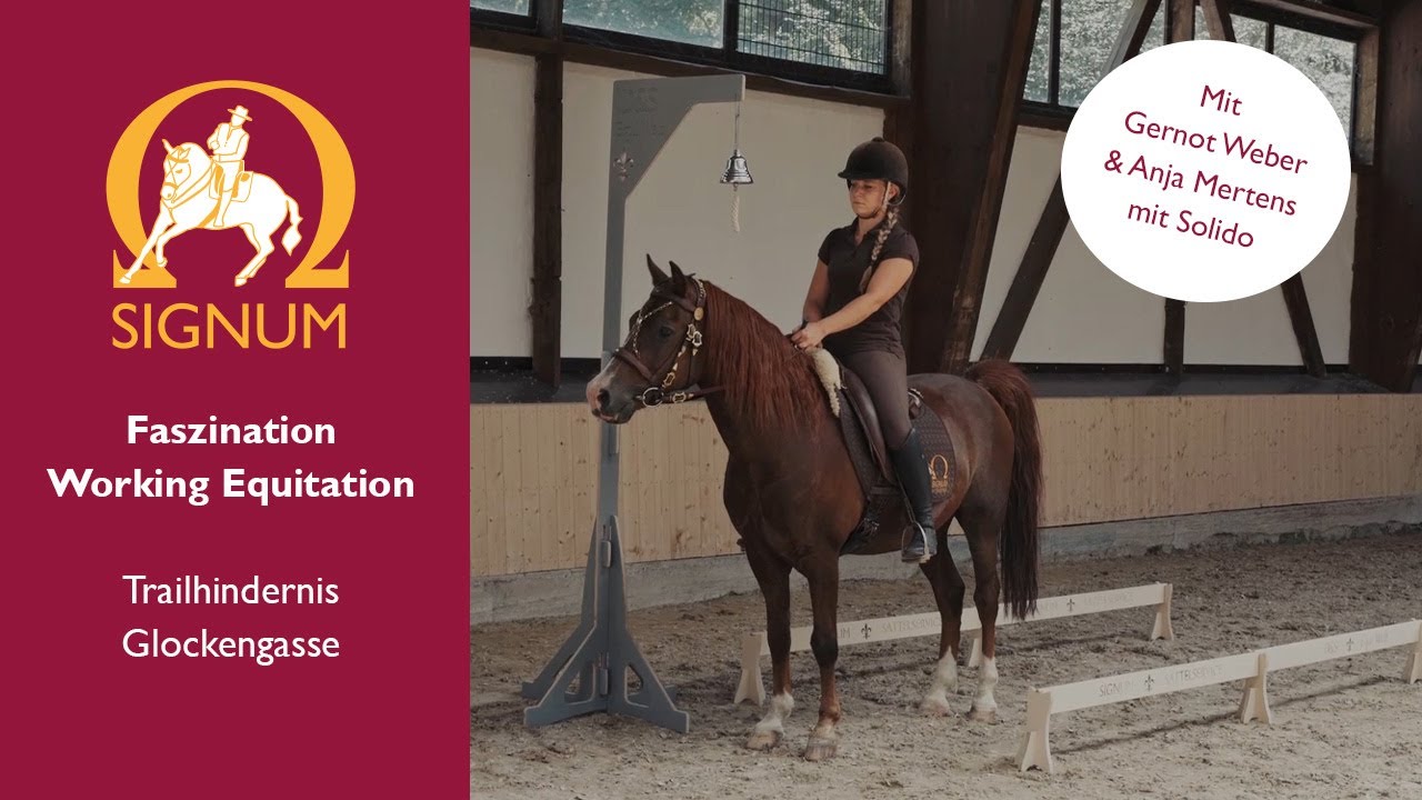Working Equitation Trailhindernis 
