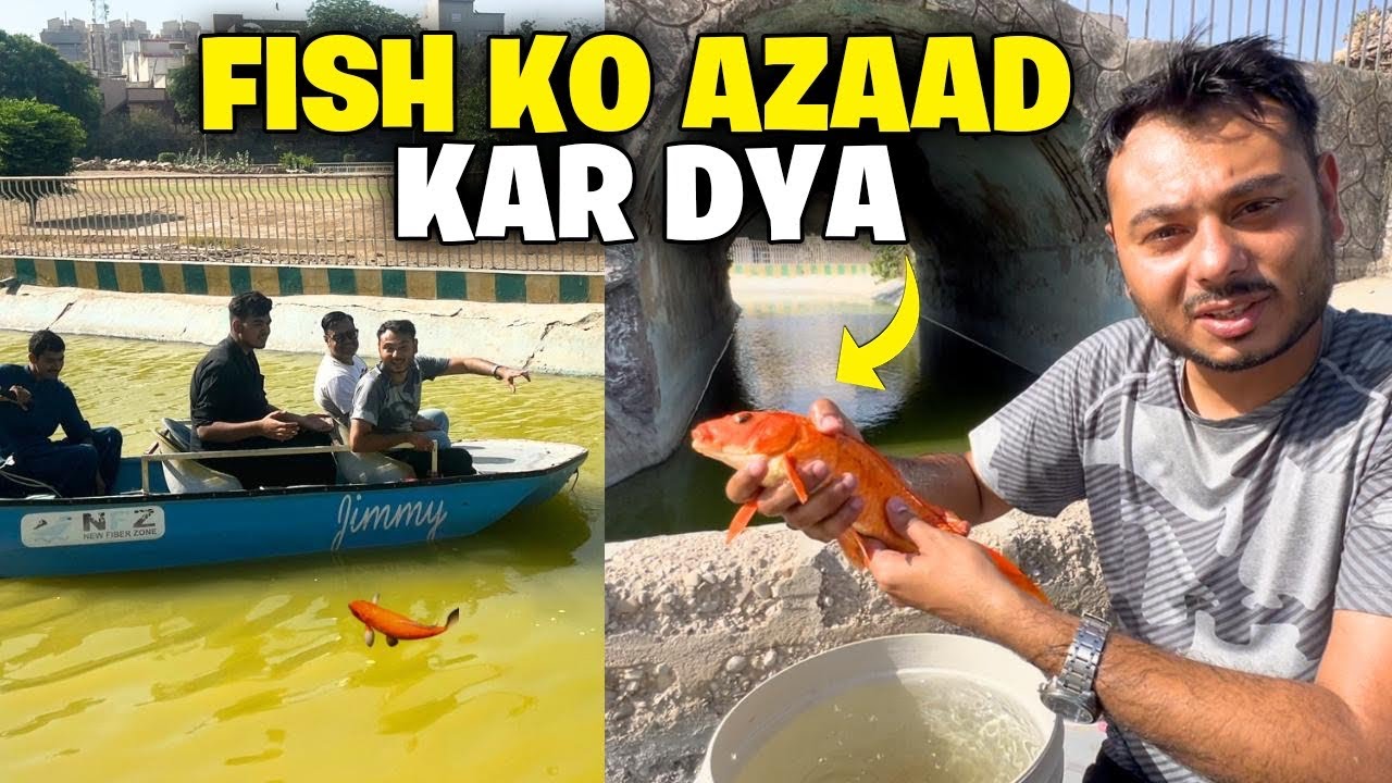 FISH KO ISLAND LAKE ME JA K AZAAD KAR DYA