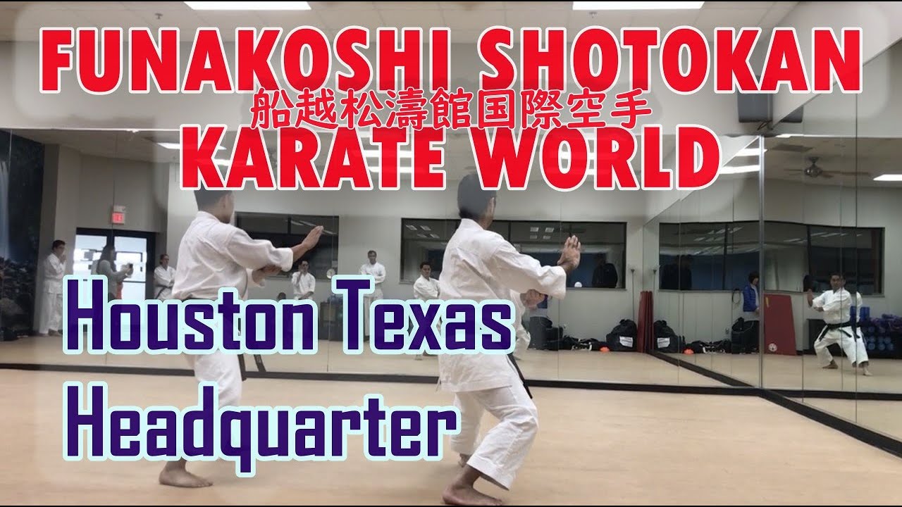 Funakoshi Shotokan Karate World Semi Private Class Houston Texas 2019 船越松濤館国際空手　ヒューストン　アメリカ