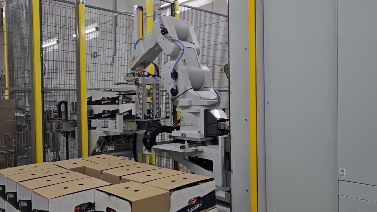 Paletyzacja w ograniczonej przestrzeni / palletizing robot/ paletyzer/ robot paletyzujący