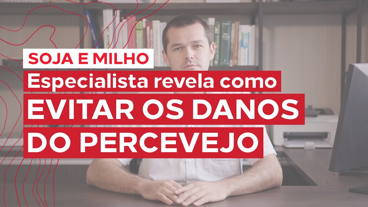 Depoimento de especialista | Evite os danos do percevejo na sua lavoura (soja e milho)
