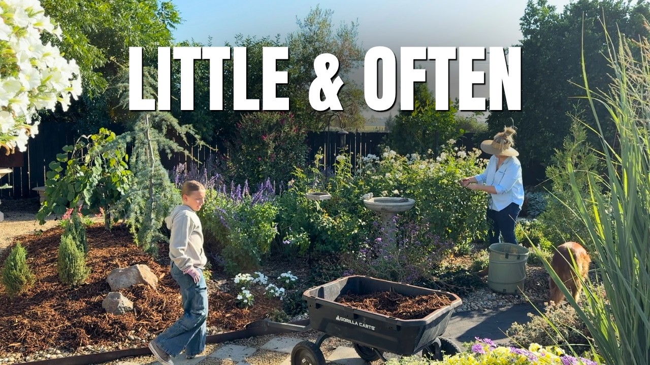 Day 6 - I Spent 30 Days Transforming My Garden