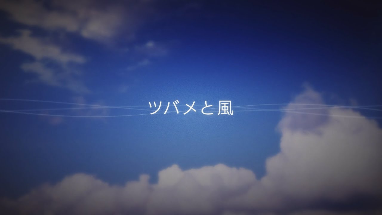 白井悠介「ツバメと風」Lyric Video