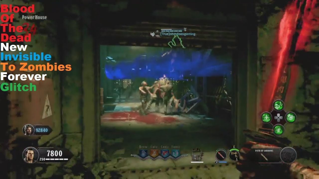 Black Ops 4 Zombies Blood Of The Dead: New Invisible To All Zombies Forever Glitch