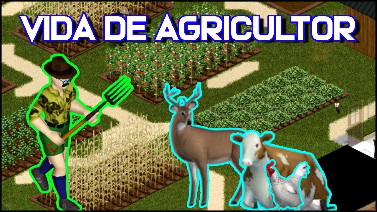 Jacaré no seco anda? !gg !casa