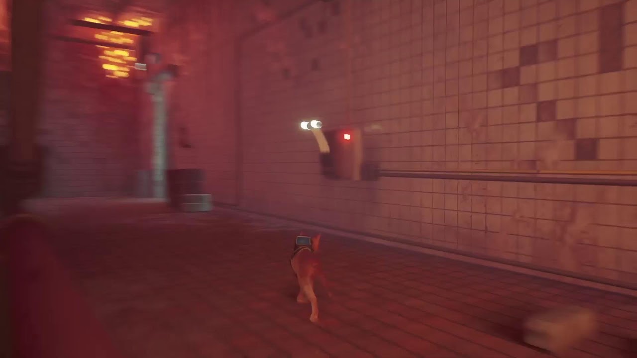Stray