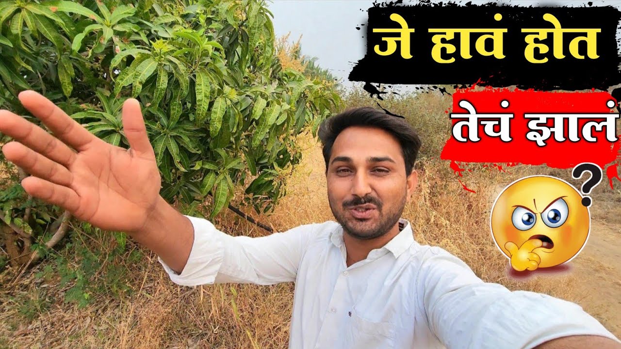 💁‍♀️जे तुम्हाला हांव होत तेच झालं आज 😱 || वाघांचा दरा म्हणतात या जागेला 🤔#niluchiaaji#yt#viralvideo 