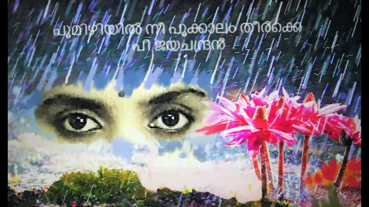 പൂമിഴിയിൽ നീ പൂക്കാലം... poomizhiyil nee/ P Jayachandran/(sathidevi)