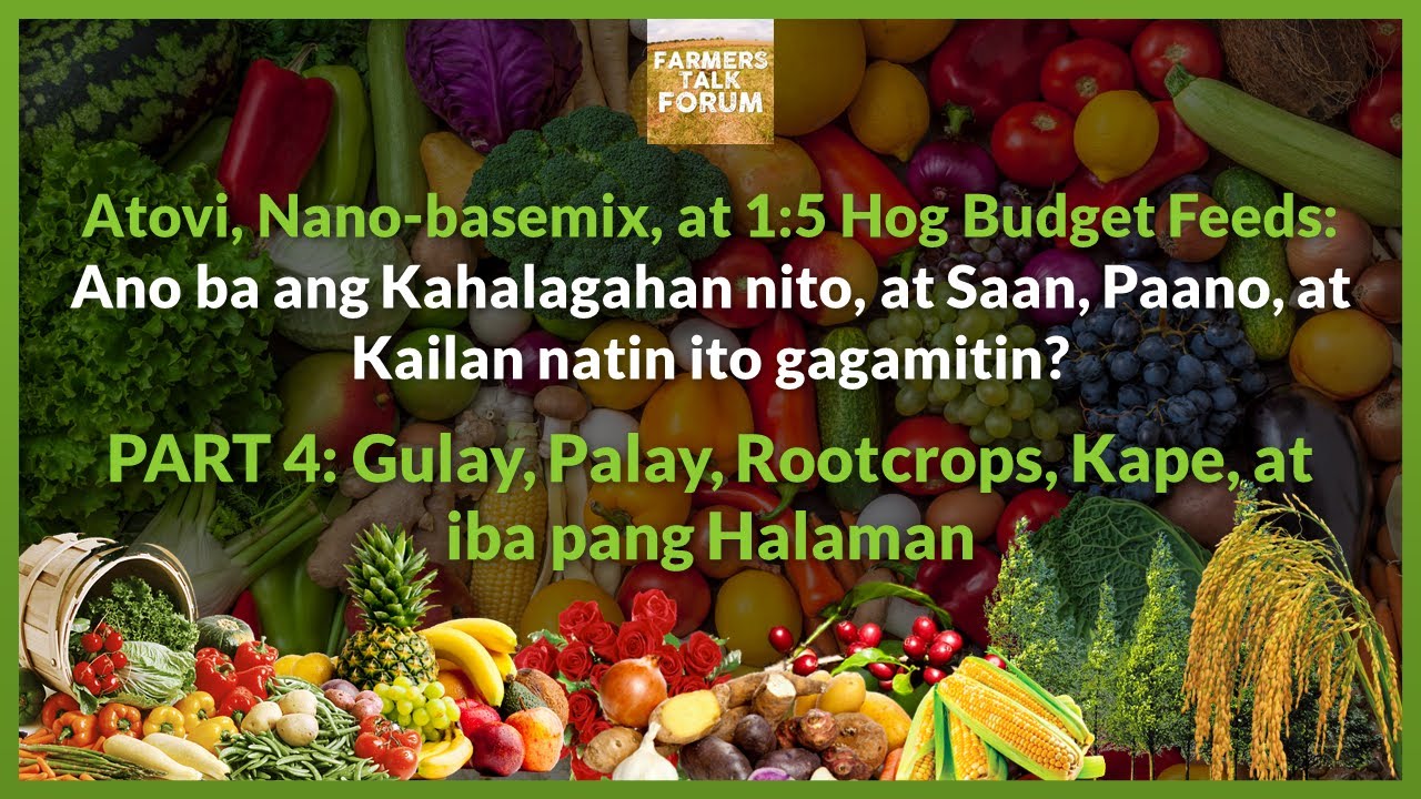 Atovi: Ang Kahalagahan Nito | Part 4: Gulay, Palay, Rootcrops, Kape, at iba pang Halaman