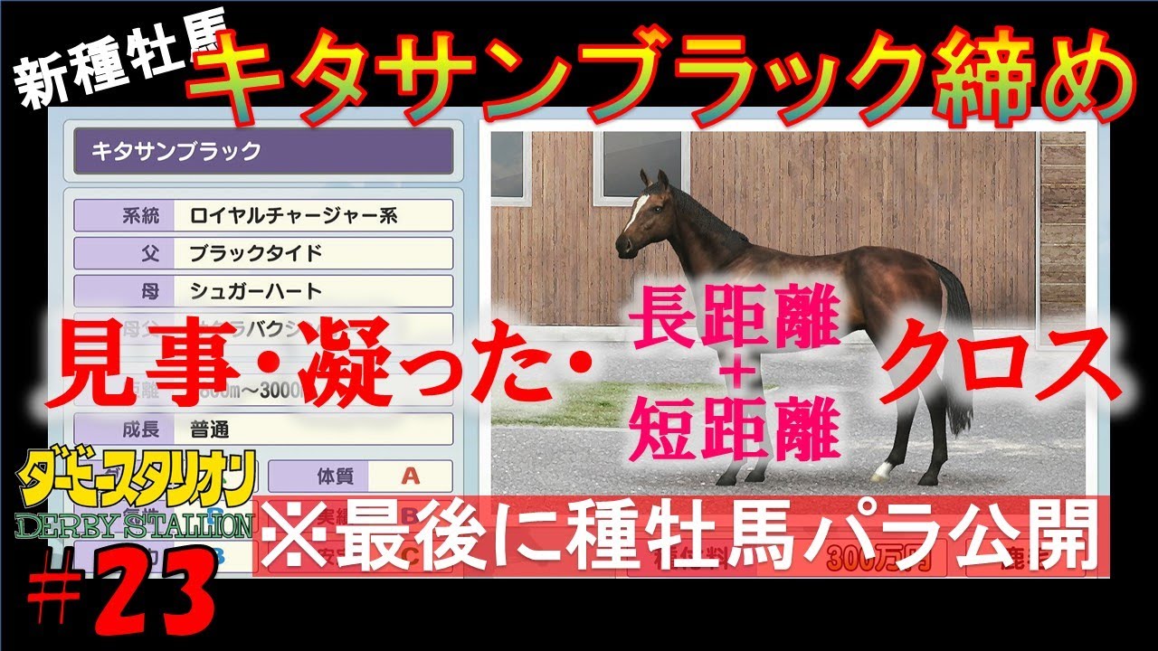 【ダービースタリオン/switch】#23 夫婦ダビスタ！キタサンブラック締め　見事・凝った・長、短距離クロス配合にチャレンジ！【種牡馬パラ公開】
