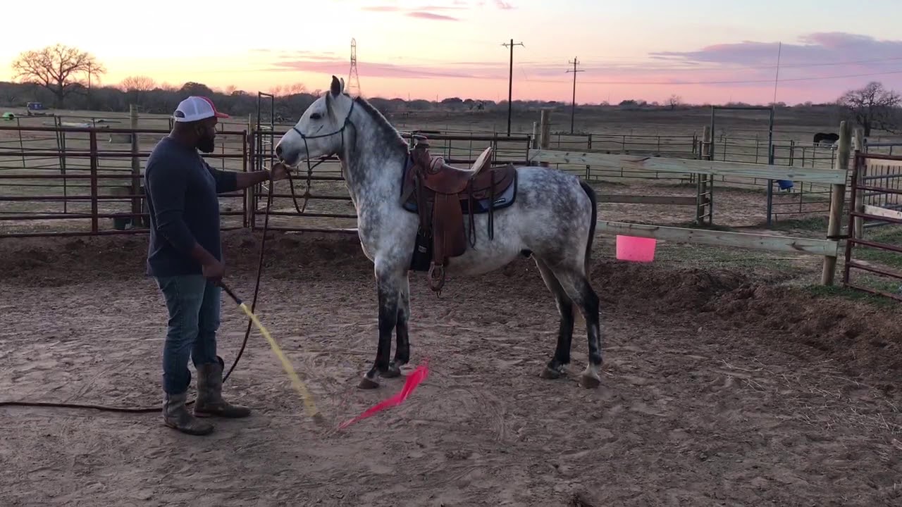 The RIGHT Way To Form An Unbreakable Bond With Your Horse