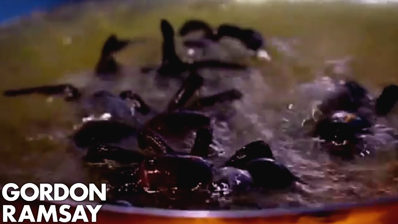 Eating Deep Fried Tarantula in Cambodia | Gordon Ramsay