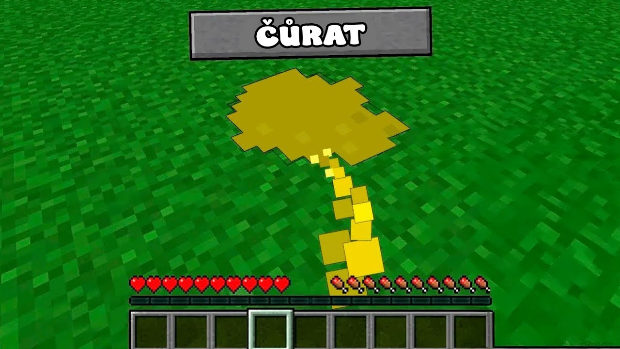 Vyzkoušel jsem NEJHLOUPĚJŠÍ mody v Minecraftu!