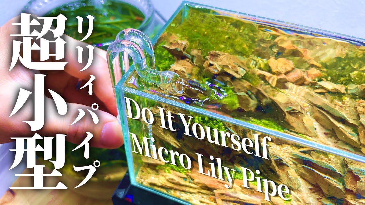 Сделайте очень маленький Lily Pipe для очень маленького внешнего фильтра! Аквариум/Самодельный вн...