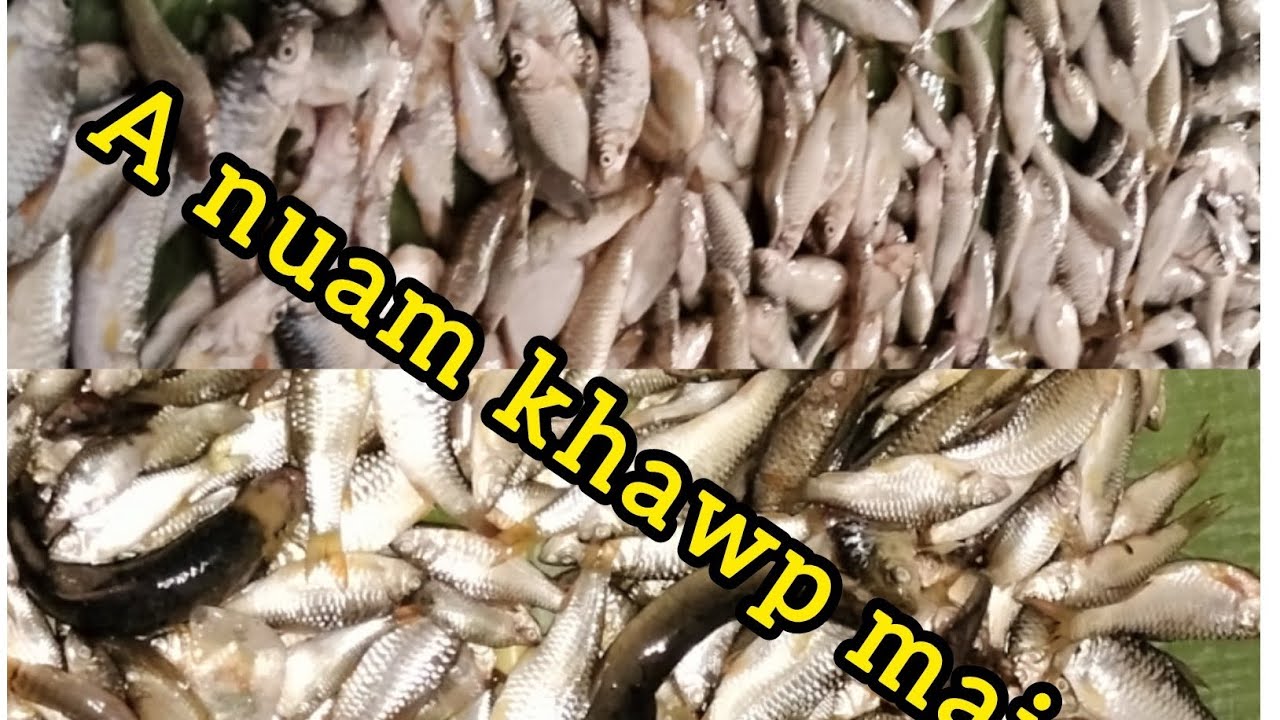 Chet that ni || Zing lam ve thung.