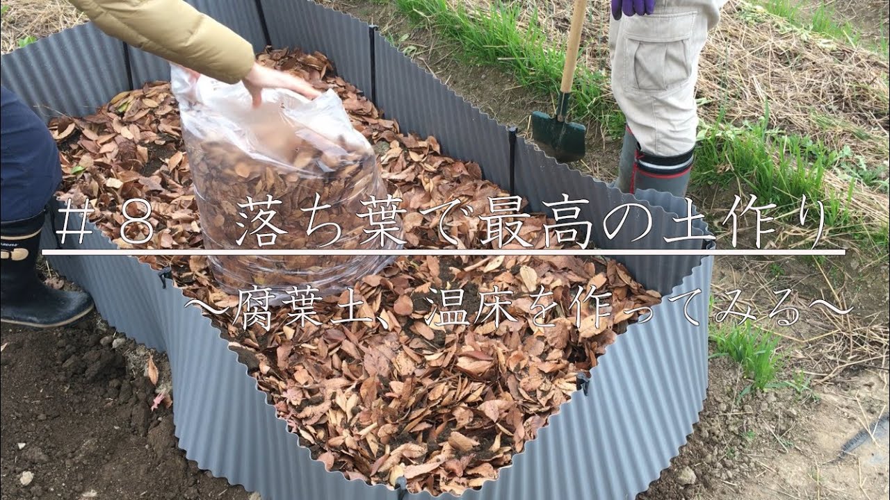 【家庭菜園】落ち葉で簡単土作り|堆肥（腐葉土）の作り方｜温床