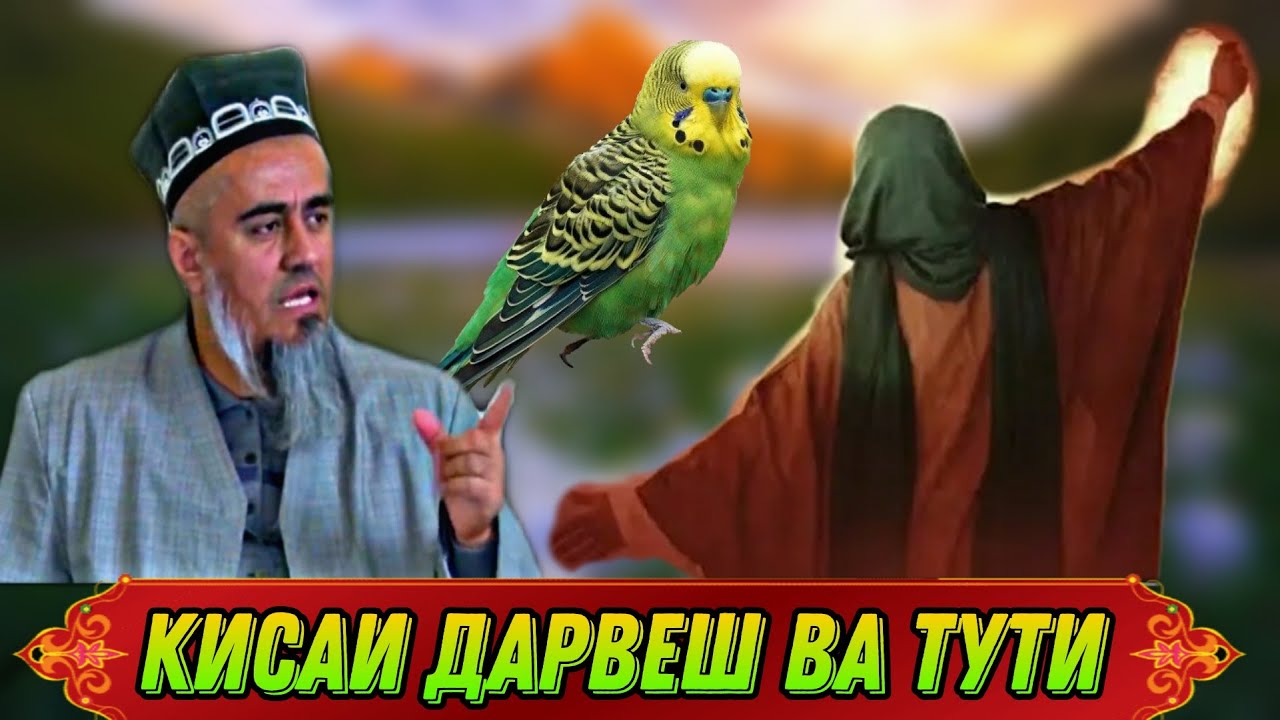 АЧОИБ КИСАИ ИБРАТАНГЕЗ ДАРВЕШ ВА ТУТИ!ДОМУЛЛО АБДУРАХИМ НАВ 2021
