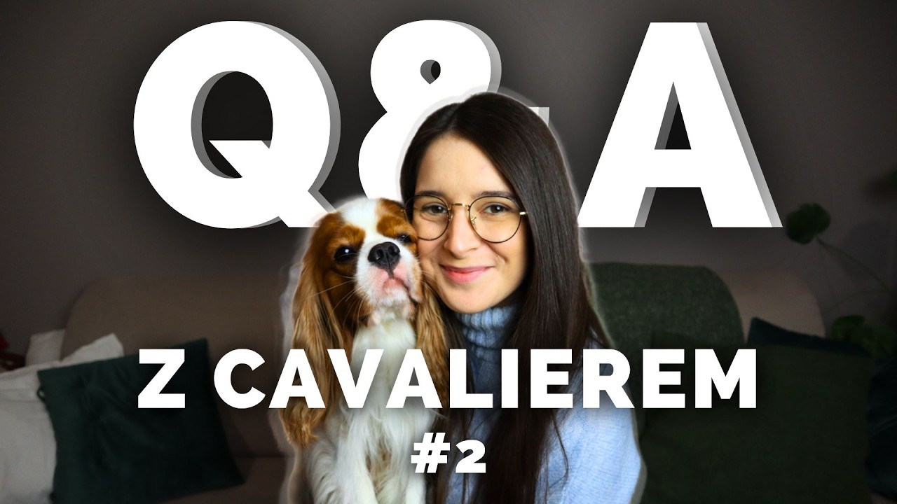 ILE KOSZTUJE CAVALIER? | WYCHOWANIE PSA | CHOROBA KAPIEGO | Q&A z Kapim #2
