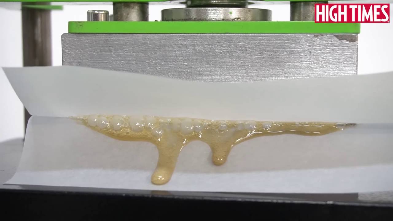 Press Your Own Buds into Rosin at the HIGH TIMES Medical Cannabis Cup