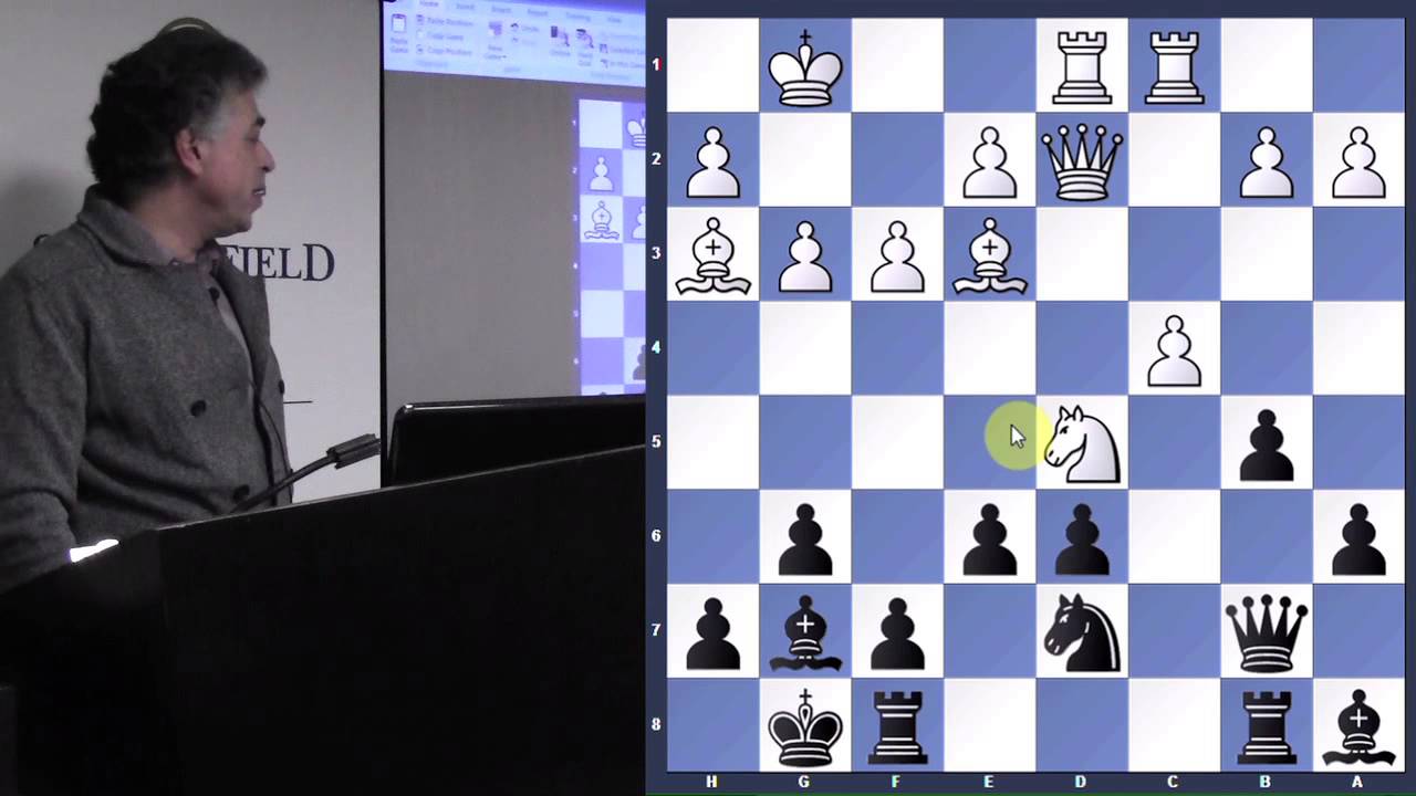 Exploring the Hedgehog - GM Yasser Seirawan - 2014.02.27