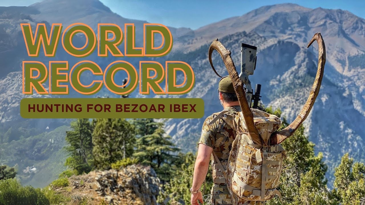 WORLD RECORD Hunting for Bezoar Ibex