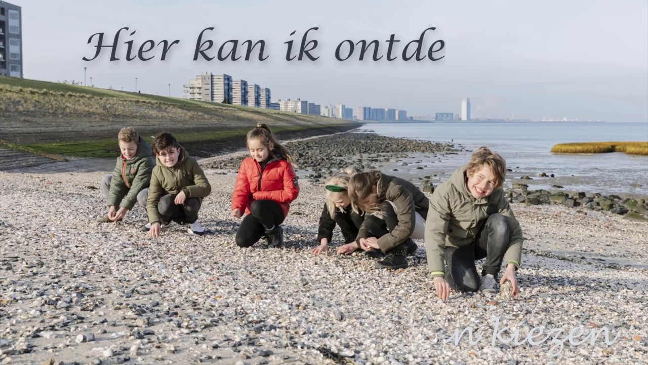 Irisschool Terneuzen website