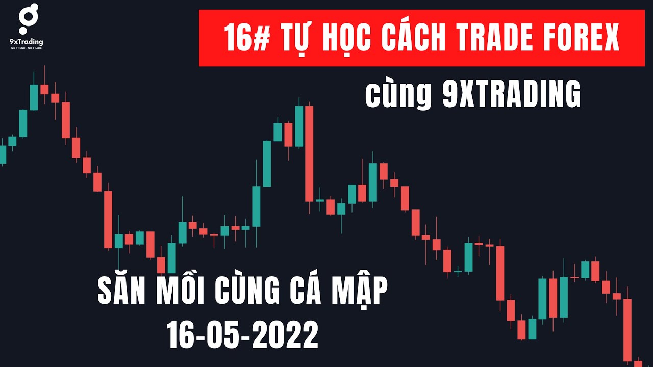 #16 TỰ HỌC TRADE FOREX C&Ugrave;NG 9XTRADING : PP Bẫy gi&aacute; c&aacute; mập (Phần 1)