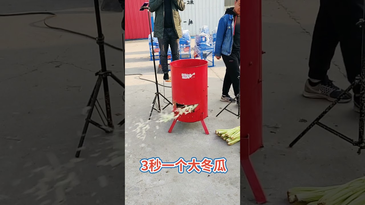 Mini Chaff Cutting Machine To Make Poultry Feed #shorts #188
