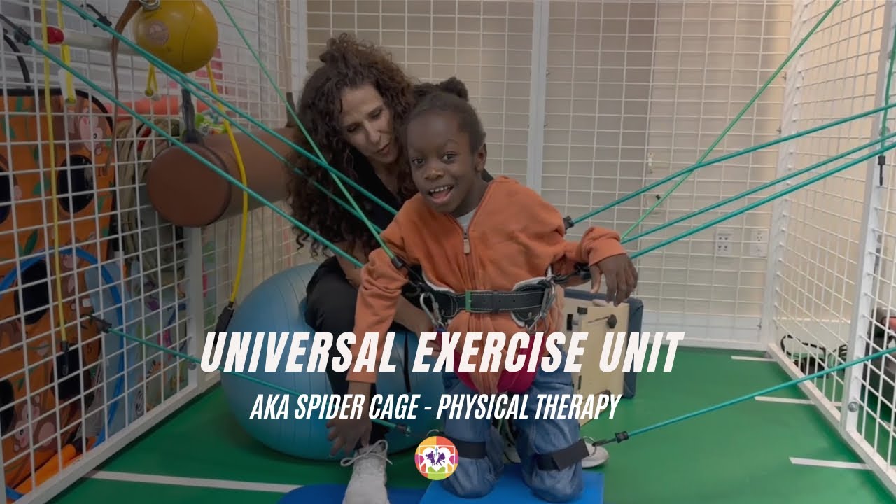 Universal exercise unit - Aka spider Cage - Physical Therapy- GTG PPEC