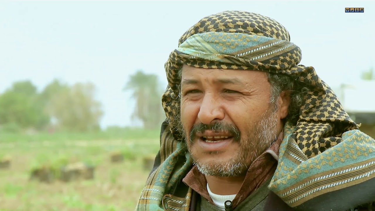 فلم وثائقي قصير  🎬|| البطاطس 🌱 : زراعة - نبش - تسويق|| إنتاج قناة مارب