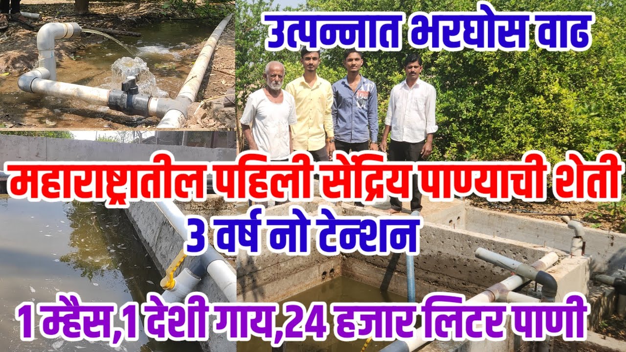 महाराष्ट्रातील 1 ली सेंद्रिय पाण्याची शेती,3 वर्ष नो टेन्शन,पिकांवरील सर्व रोग गायब,सेंद्रिय_शेती