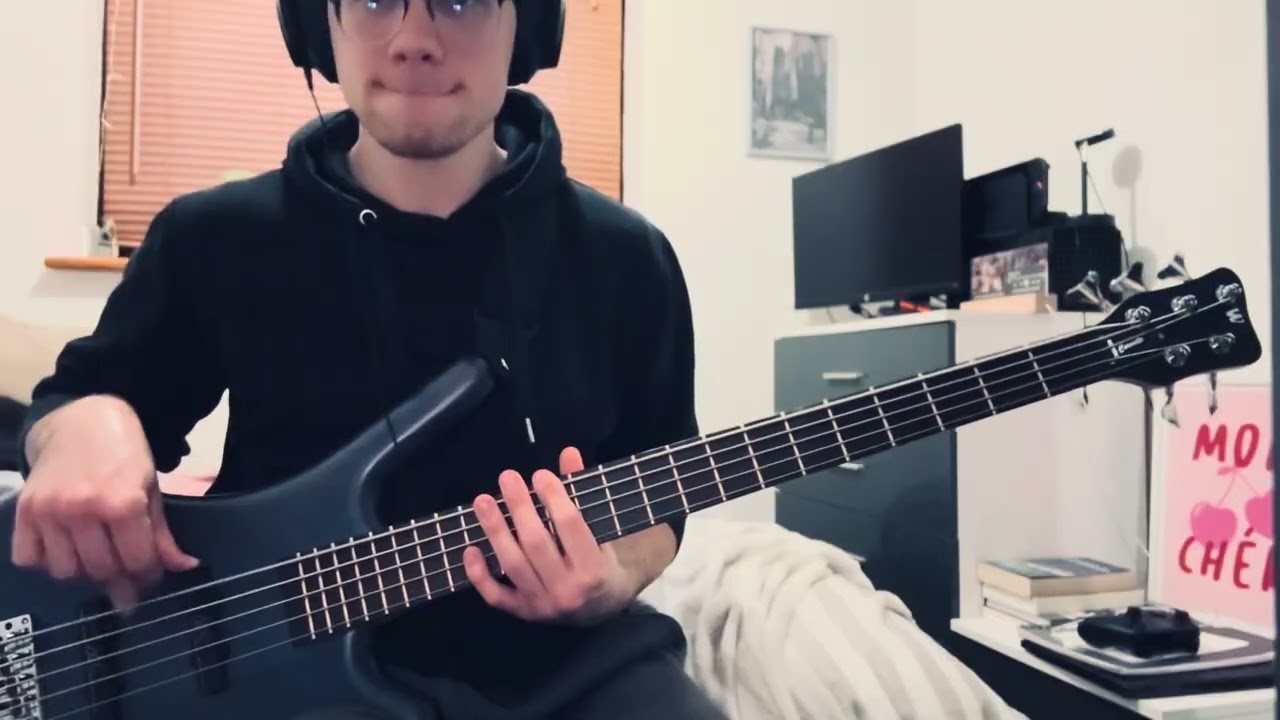 My Stoney Baby - 311 Bass Cover