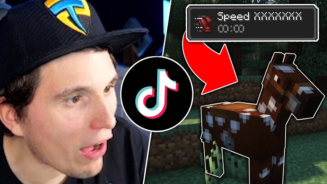 Paluten REAGIERT auf Ich teste 9 VIRALE MINECRAFT TIKTOKS!