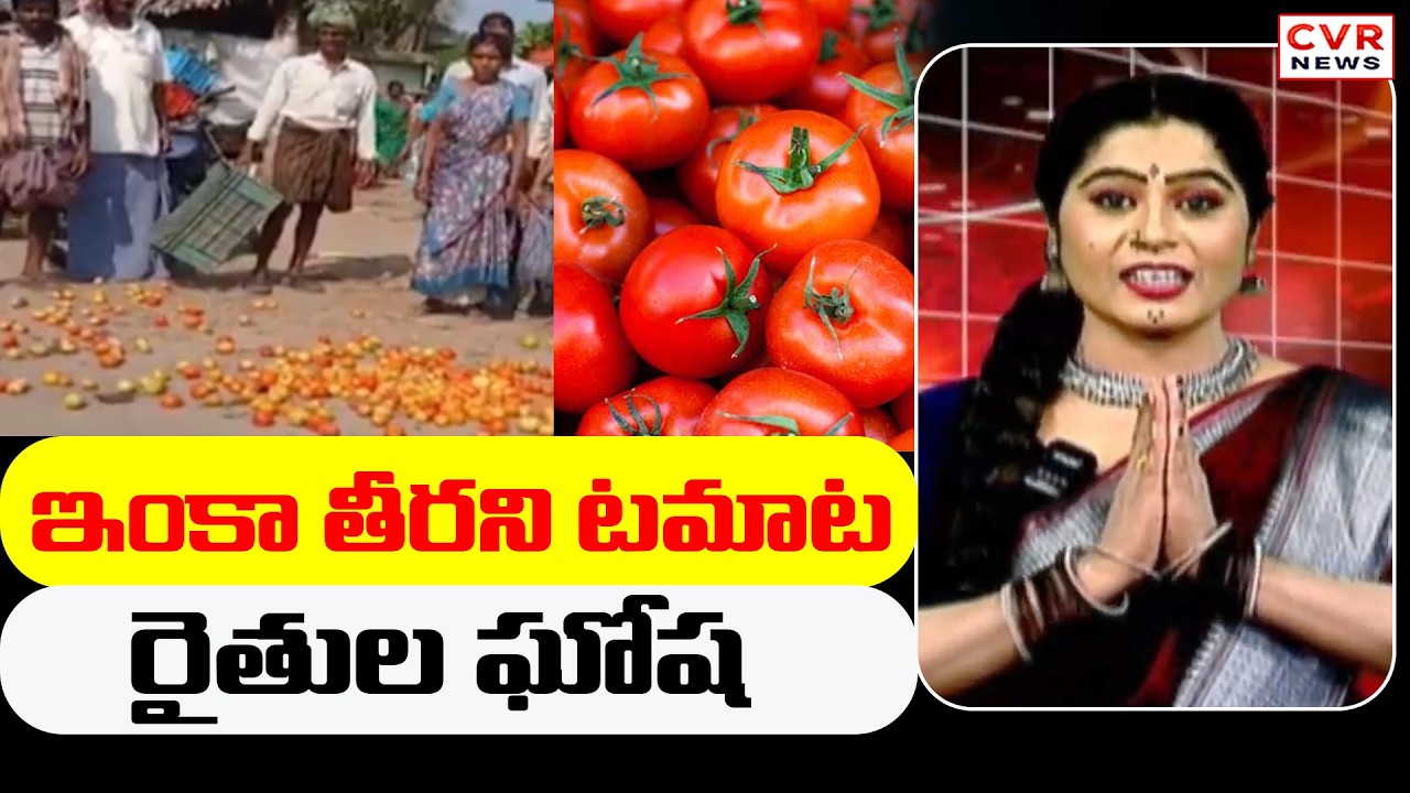 ఇంకా తీరని టమాట రైతుల ఘోష | Tomato Farmers Cry For Help | CVR News