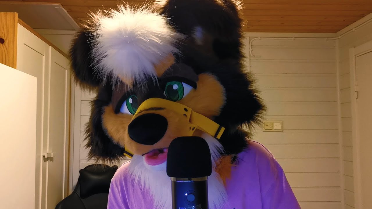 Bedtime for little rascals [furry asmr]