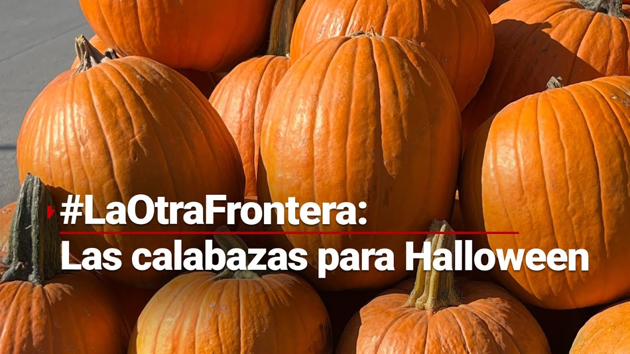 #LaOtraFrontera | Las calabazas para Halloween