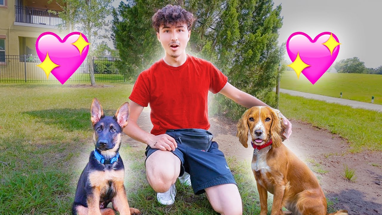My Dog Found a Girlfriend...